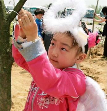 Learn more about Mary Kay's tree-planting initiatives around the world.